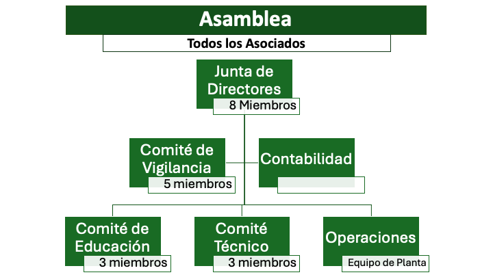 Organigrama